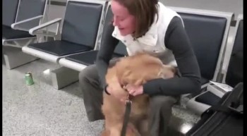 Best of Military Reunions with Man's Best Friend 