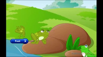 Learn all about a Frog's Life Cycle at www.turtlediary.com 