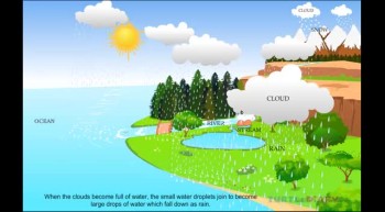 Animated Lesson to learn all about Water Cycle at www.turtlediary.com 