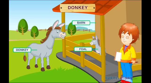 Learn all about the Farm Animals at  - Education Videos
