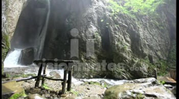 Forest waterfall video footage