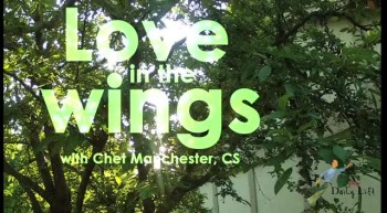 Love in the wings 