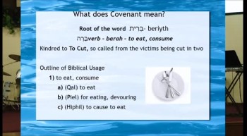 What Is A Covenant 2 