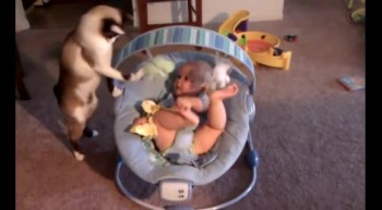 Kitty Makes Excellent Babysitter - See What Makes This Baby Laugh! :) 