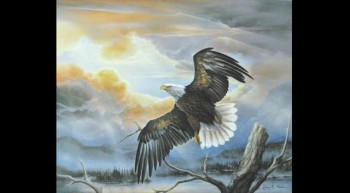 The Eagle and the Storm 
