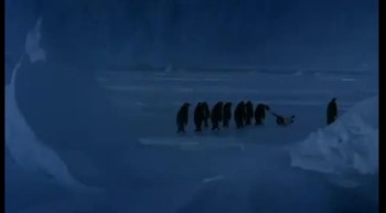 Adorable Penguins Have the Sweetest Reaction to Buddy Falling on Ice 