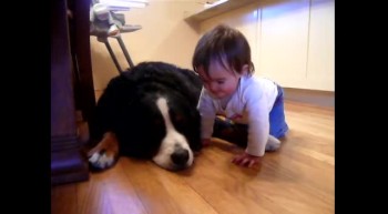 Dog and Baby Love on One Another 