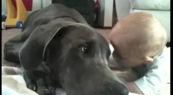 Adorable Baby and Great Dane Cuddling Will Melt Your Heart 