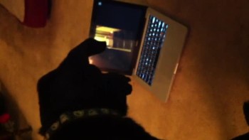 Dog Watches GodTube 