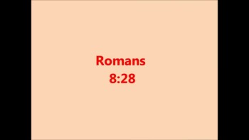 Romans 8:28 