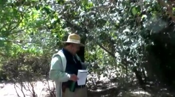 #477 Plants of the Bible at Boyce Thompson State Park