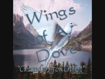 Wings Of A Dove 