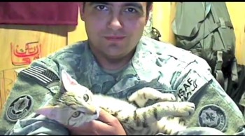 See How an Afghan Cat Saved a U.S. Soldiers Life  