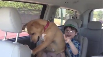 Severely Abused Dog and Autistic Boy Are a Match Made in Heaven 