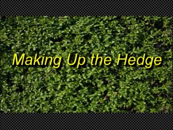 Randy Winemiller 'Making Up the Hedge' 
