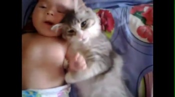 Kitty and Baby Cuddle SO Sweetly Together - Double the Cuteness!  