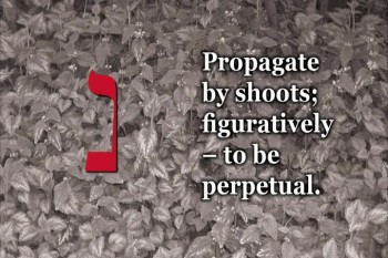 Continuation from part 3