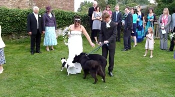 Dog Gives a Bride a Special Wedding Present - You'll Love This Blooper! 
