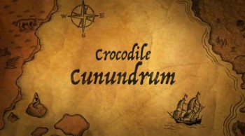 Crocodile Conundrum