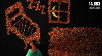 Your Entire Life in JellyBeans - How Will You Spend It? 