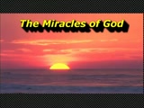 Randy Winemiller<br />"The Miracles of God"<br />July 21st, 2013