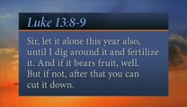 In Short: It's great to have, and you don't want to abuse it.<br /><br />Verse: "But he answered and said to him, 'Sir, let it alone this year also, until I dig around it and fertilize it. And if it bears fruit, well. But if not, after that you can cut it down.'" <br />—Luke 13:8-9<br /><br />For more daily devotionals, visit www.itiswritten.com/everyword<br /><br />07/22/13