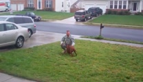 After a year long deployment in Iraq,  Anne the dog cried with joy at the return of her soldier.  Watch her overjoyed reaction when she sees him for the first time!