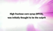 Xulon Press introduces FRUCTOSE EXPOSED by author M. Frank Lyons II, M.D.. The Xulon Press bookstore provides an easy way to purchase this book using the link below, or you can find it at your local Christian bookstore.<br /><br />https://www.xulonpress.com/bookstore/bookdetail.php?PB_ISBN=9781612150253