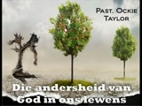 Pastoor Ockie Taylor