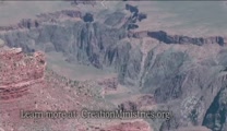 For more information, please visit:<br />www.CreationMinistries.org