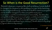 Aw, the Millennium. Where will you be, Christian? What will you be doing? Will there be evil amongst us then? Will everything be tranquil? Will we be going to church on Sunday morning? There are so many questions and, quite frankly, man and denominations have clouded it. Let's look at Scripture and see what God Himself tells us. The answers may (no, they will) surprise you!