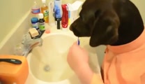 Having a Ruff Day? Then Watch This Hilarious Dog's Morning Routine :)