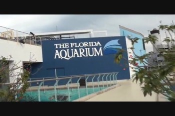 The Florida Aquarium.part 2. 