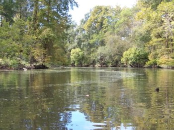 Kayaking on Bayou Manchac--Part 2 