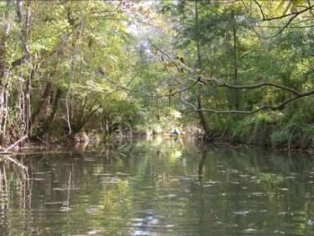 Kayaking on Bayou Manchac 