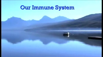 #570 Our Immune System