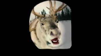 December has begun!!