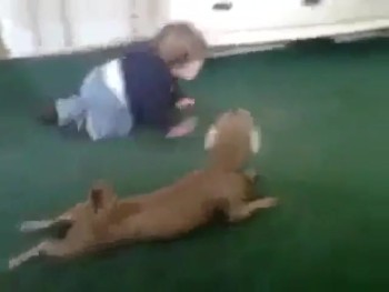 Baby and Puppy Enjoy the Cutest Crawling Race 