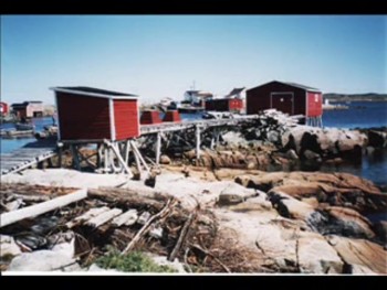 Newfoundland Christmas song: for sheet music and mp3, go to <br />www.sites.google.com/site/davidwkaismusic