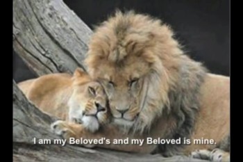 I am my Beloved's 