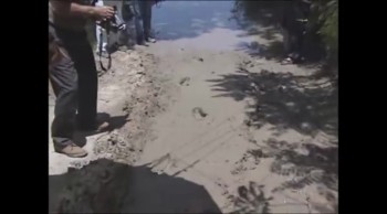 #257 Texas Dinosaur and Human Tracks