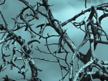 Dr. Lindsey discusses how we have peace with God. Our rebellious nature, which was inherited by the fall of Adam, is removed by faith in the sacrifice of the Son of God. Christianity; what does it do for you, or, what has it done to you? A big difference as Dr. Lindsey discusses.