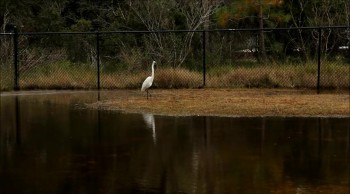 Blue Cypress Park || Jacksonville, FL.