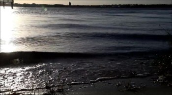 Blue Cypress Park || Jacksonville, FL.