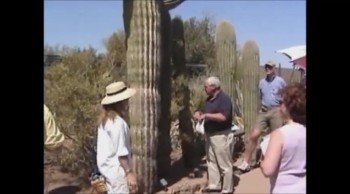 #317 Desert Life