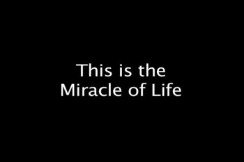 Miracle of Life by George Dare 