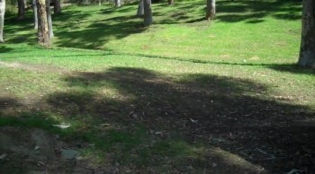 He makes me lie down in green pastures