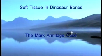 #597 Soft Tissue in Dinosaur Bone - The Mark Armitage Case