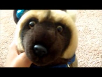 it's my verry first video i'am so exited hope u guys like it.