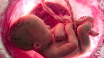 Liquid Air Mimics God's System (Part 2 of 2) <br /><br />On today’s Creation Moments Minute, can liquid air help reduce the number of abortions?<br /><br />After researchers learned how to use liquid air to help premature babies stay alive, they had to admit that if infants can survive at only 20 weeks, some hard questions are raised about current abortion practices. Yet, pro abortion feeling is so strong that researchers felt they had to disown the idea that they wanted even younger premature babies to survive. The development of liquid air could make it more difficult for some to support abortion as we now know it.<br /><br />It has taken humans thousands of years of medical development to come up with an advance that begins to mimic the way an unborn infant gets oxygen. This makes it even more difficult to believe that mindless nature created the womb and much easier to believe that the womb is the creation of a loving and wise Creator.<br /><br />For Creation Moments Minute dot com, I’m Darren Marlar.<br /><br />Ref: "'Liquid air' may help save premature babies." Minnesota Citizens Concerned for Life Newsletter, Oct. 1989.<br /><br />